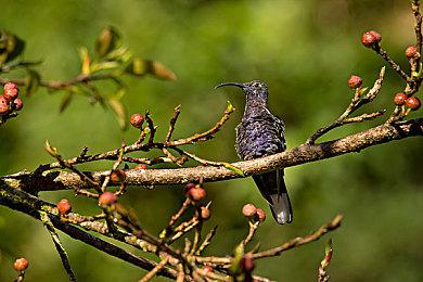 《龙腾世纪》新作预告片展示高级别战斗场面